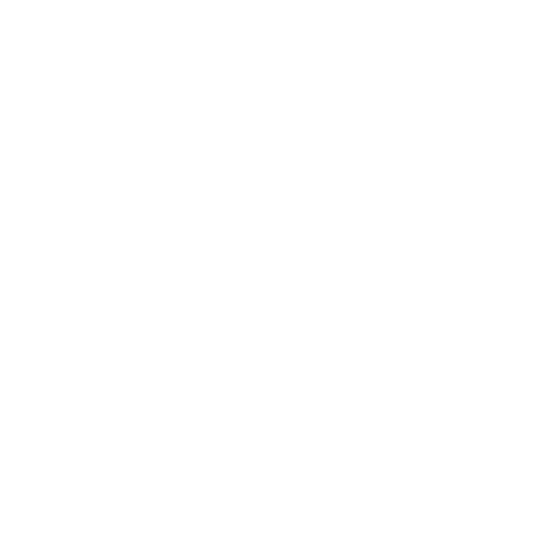 NARAYANA