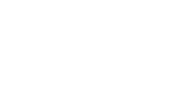 Pidilite Logo